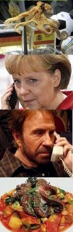 Angela Merkel und Chuck Norris witziges zum lachen