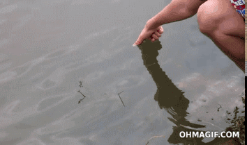 Angeln ohne Angel lustige gifs - einfach Finger ins Wasser stecken