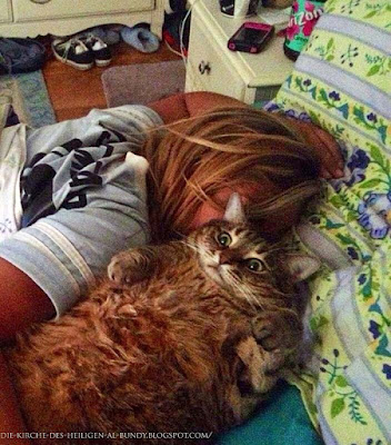 Auf Bett entspannen mit Katze lustig - Schlaf Bilder Auf Bett entspannen mit Katze lustig - Schlaf Bilder