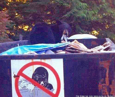 Bär in Müllcontainer - witzige Tierbilder Verbotsschild Bär in Müllcontainer - witzige Tierbilder Verbotsschild