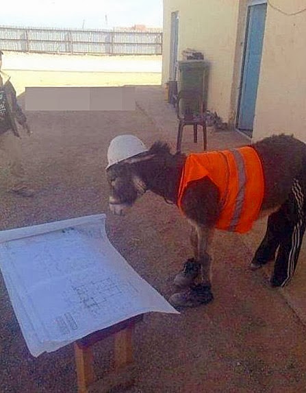 Bauarbeiter auf Baustelle lustig - lachbilder