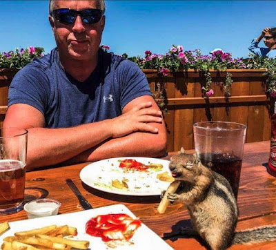 Eichhörnchen lustig beim Essen - Lustige Bilder