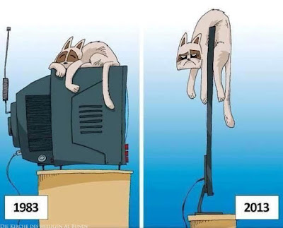 Fernseher damals und heute - Witzige Bilder Katze