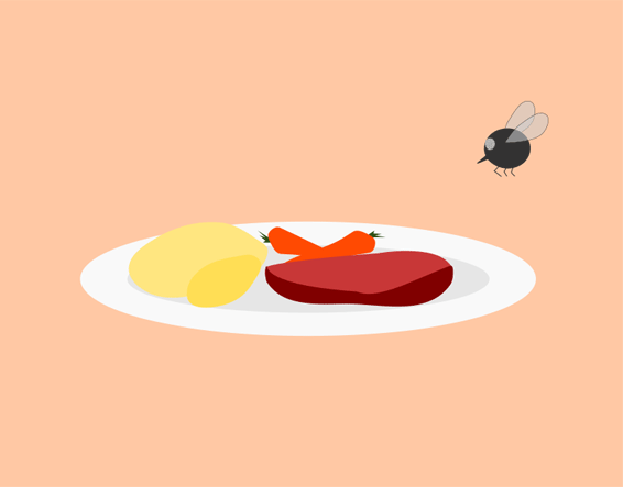 Fliege über Teller mit Essen - Vektor Grafik