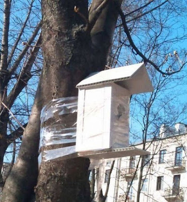Frühling - lustiges Vogelhaus wird dumm an Baum geklebt Frühling - lustiges Vogelhaus wird dumm an Baum geklebt