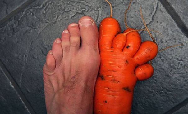 Gartengemüse lustig - Karotte ist wie Fuß geformt