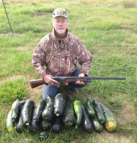 Gartenarbeit für Männer - Gemüse Jagt Zucchini geschossen