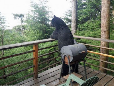 Grillen auf der Terrasse - Bär lustig Grillen auf der Terrasse - Bär lustig