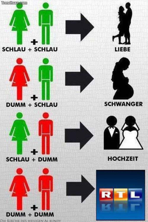 Liebe zwischen klugen und dummen Menschen lustig Liebe zwischen klugen und dummen Menschen lustig