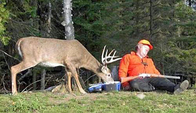 Lustige Bilder Jäger und Hirsch - Schlafen witzig Lustige Bilder Jäger und Hirsch - Schlafen witzig