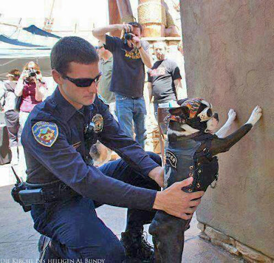 Lustige Spaß Bilder Polizist tastet Rocker Hund ab