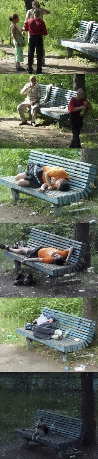 Lustige Bilder Collage Parkbank Alkoholiker schlafen