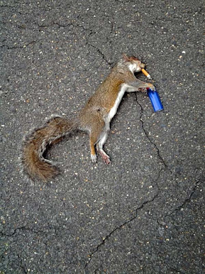 Lustige tote Tiere - Bilder vom Rauchen