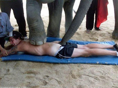 Lustiges Bild - Peinliche Urlaubsfotos Elefant fummelt am Hintern witzig