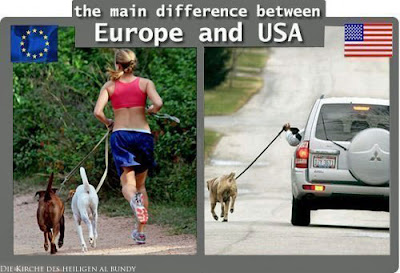 Lustiges Vergleichsbild mit Hund gassi gehen - Europa USA - Spaßbilder