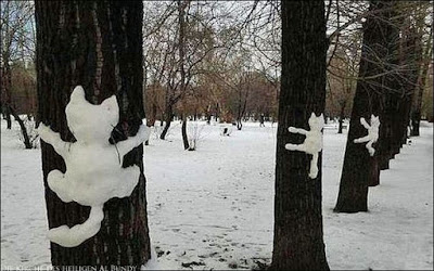 Lustiges Winter Bild - Schnee Katzen an Baum