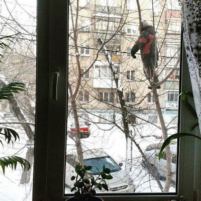 Mann auf Baum vor Fenster im Winter - Seltsame Menschen