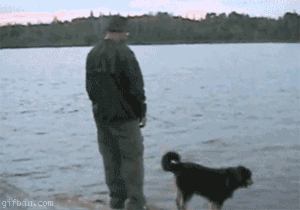 Mann mit Hund beim Angeln lustig - ins Wasser fallen