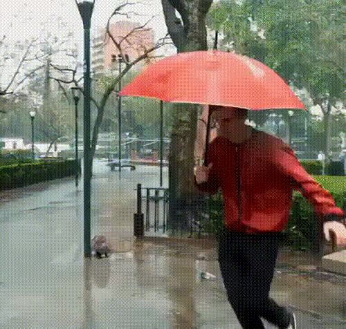 Mit Regenschirm bei schlechtem Wetter tänzeln lustig