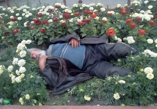 Am Morgen - schlafender Penner im Blumenbeet