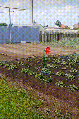 Ulkiger Rasensprenger - tanzende Blume - Gemüsebeet gießen