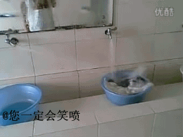 Wäsche waschen ohne Waschmaschine lustiger Spass Wäsche waschen ohne Waschmaschine lustiger Spass