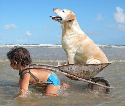 Witziges Foto aus dem Urlaub - Kind und Hund am Meer