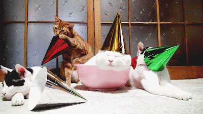 süße Katzen Bilder Geburtstag gifs animiert